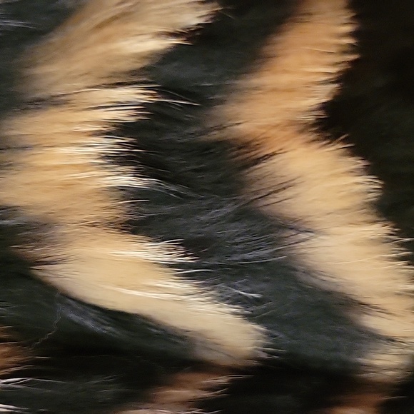 Brand New Natural Asiatic Raccoon Fur Short Jacket - Picture 3 of 12